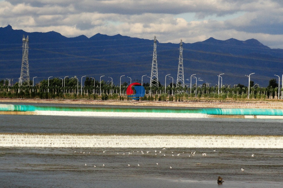 坝长110，坝高2.3m，枕式充水橡胶坝